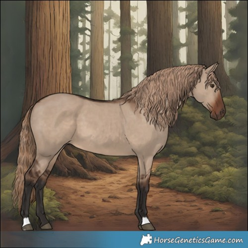 Horse Color:Liver Red Dun 