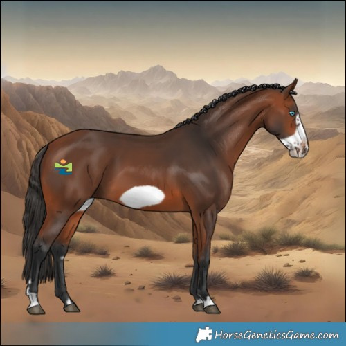 Horse Color:Bay Frame 
