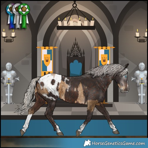 Horse Color:Powder White Gray Silver Smoky Black Splash  and Powder White Silver Brown Blanket 