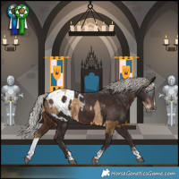 Horse Color:Powder White Gray Silver Smoky Black Splash  and Powder White Silver Brown Blanket 