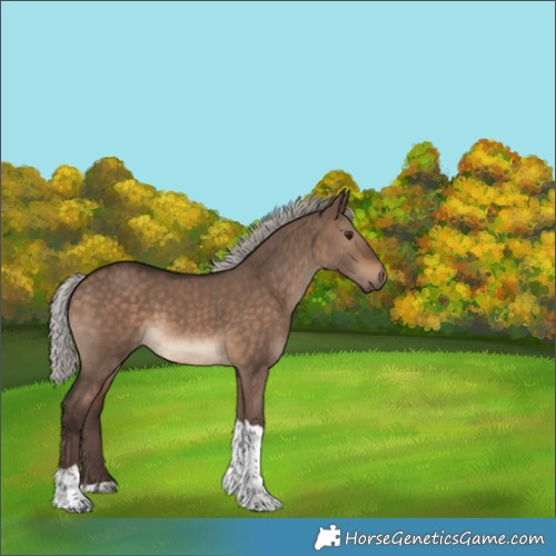 Horse Color:Silver Brown Dun Tobiano