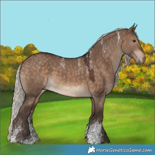 Horse Color:Powder White Silver Brown Dun 
