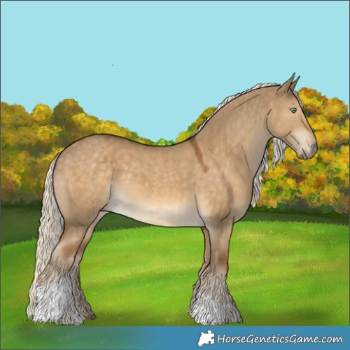 Horse Color:Chocolate Palomino Dun Tobiano 