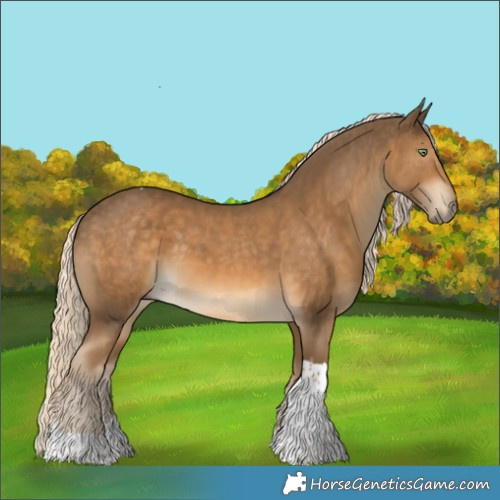 Horse Color:Chocolate Palomino Tobiano