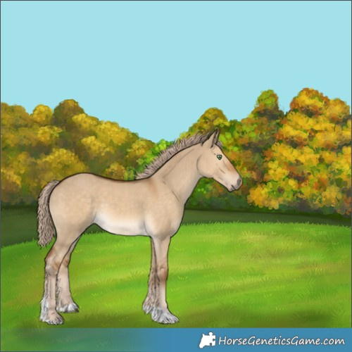 Horse Color:Chocolate Palomino Dun Tobiano 