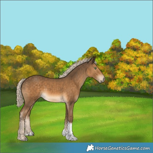 Horse Color:Chocolate Palomino Tobiano 
