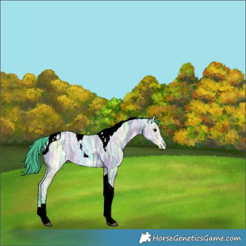 Horse Color:Watercolor Bay Ice Tobiano 