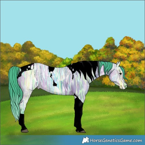 Horse Color:Watercolor Bay Ice Tobiano