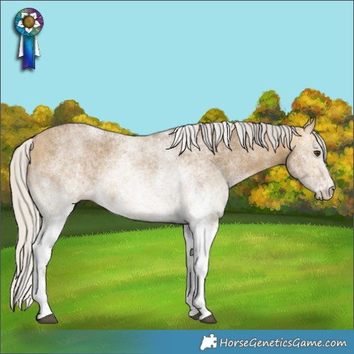 Horse Color:White Spotted Silver Buckskin Dun