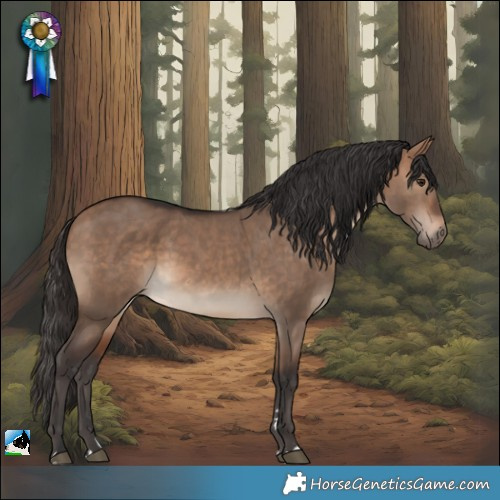Horse Color:Bay Dun