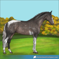 Horse Color:Platinum Liver Chestnut Mushroom Tobiano 