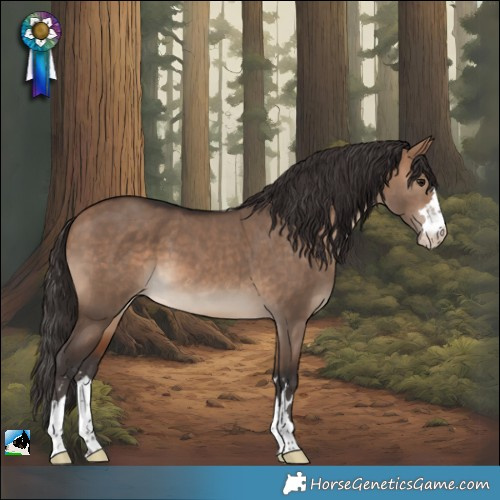Horse Color:Bay Dun Appaloosa 