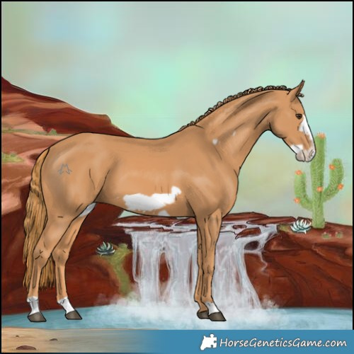 Horse Color:Chestnut Frame 