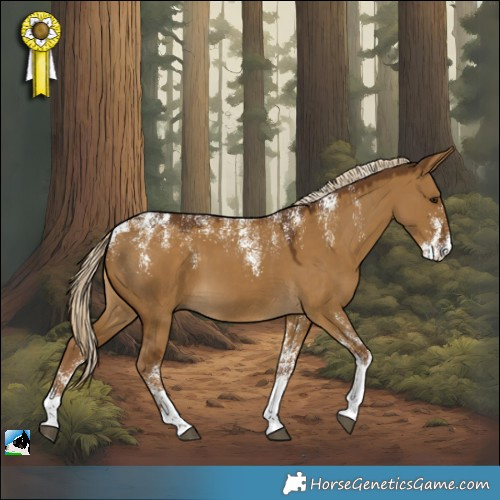 Horse Color:Powder White Chocolate Palomino Dun