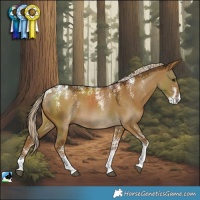 Horse Color:Powder White Chocolate Palomino Dun 