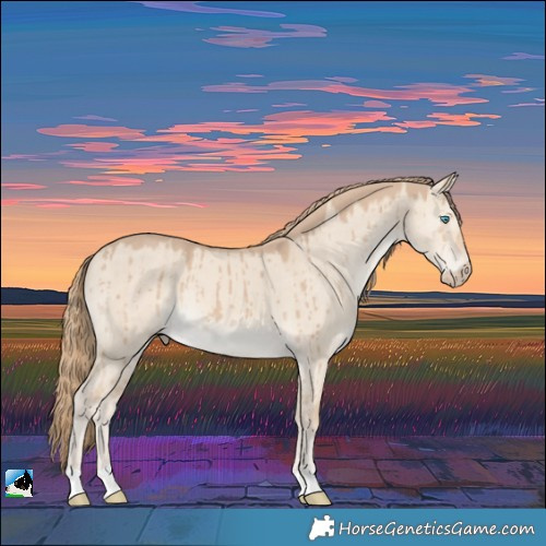 Horse Color:Smoky Creme Dun Brindle