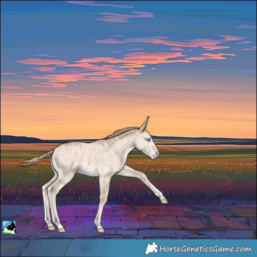 Horse Color:Smoky Creme Dun Brindle