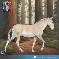 Horse Color:Cremello 