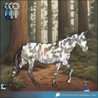 Horse Color:Smoky Grullo Near Leopard Brindle