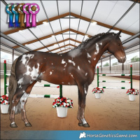 Horse Color:White Spotted Liver Chestnut 