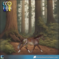Horse Color:Chocolate Buckskin Mushroom 