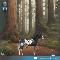 Horse Color:Brown Splash Skewed LP Spotted 