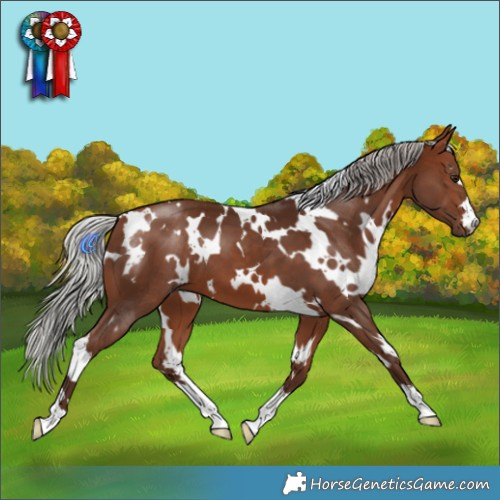 Horse Color:White Spotted Silver Bay Mushroom 