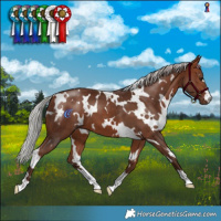 Horse Color:White Spotted Silver Bay Mushroom 