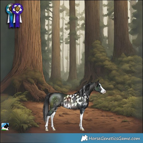 Horse Color:Brown Splash Skewed LP Spotted 