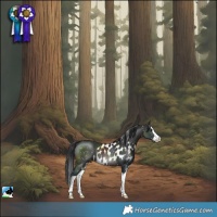 Horse Color:Brown Splash Skewed LP Spotted 