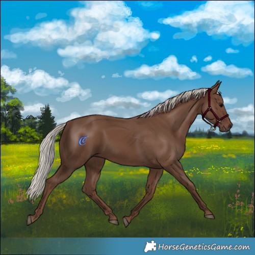 Horse Color:Silver Black