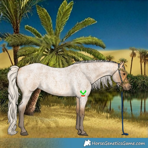 Horse Color:Silver Buckskin Roan 