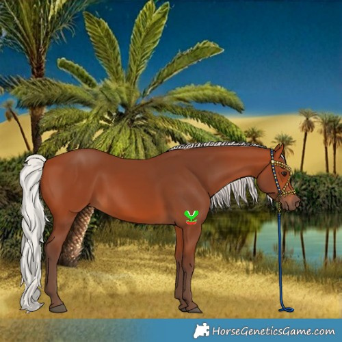 Horse Color:Silver Bay