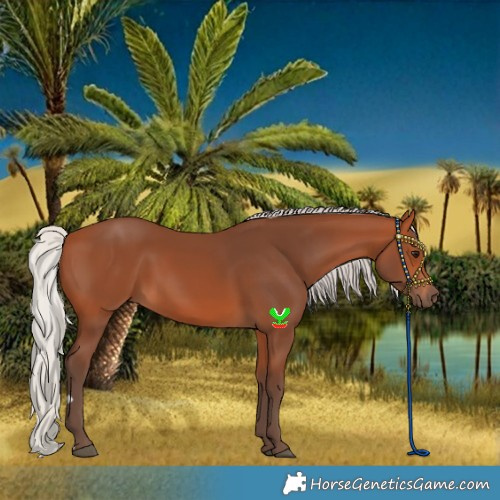 Horse Color:Silver Bay
