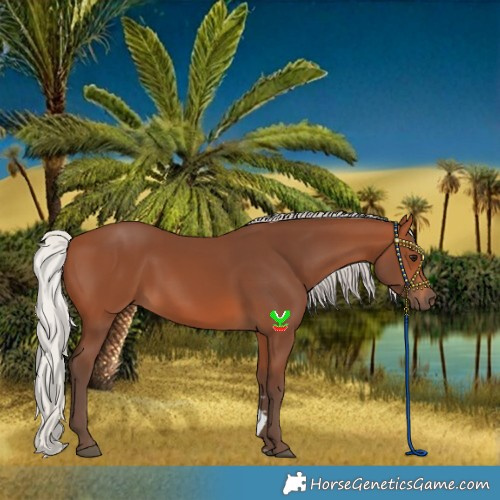 Horse Color:Silver Brown 