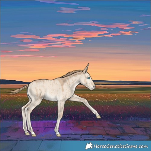 Horse Color:Smoky Creme Dun Brindle 