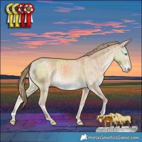 Horse Color:Smoky Creme Dun Brindle