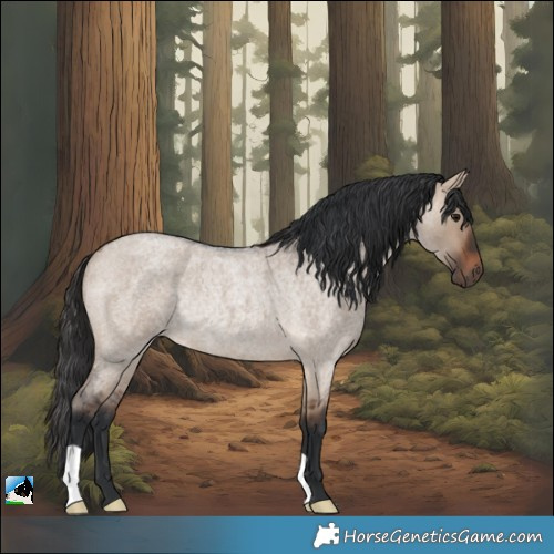 Horse Color:Brown Roan Dun Rabicano 