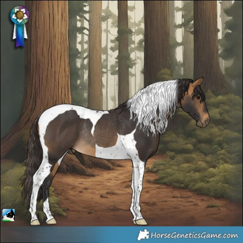 Horse Color:Buckskin Tobiano Rabicano 