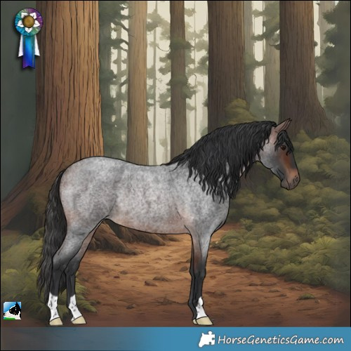 Horse Color:Brown Roan Rabicano