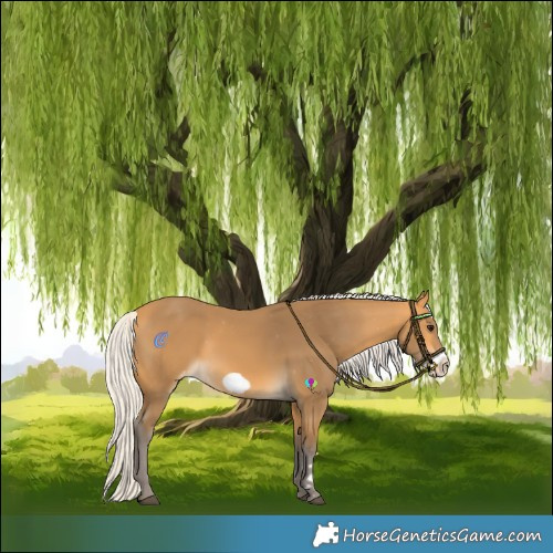 Horse Color:Silver Buckskin Frame Varnish