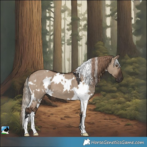 Horse Color:White Spotted Liver Red Dun 