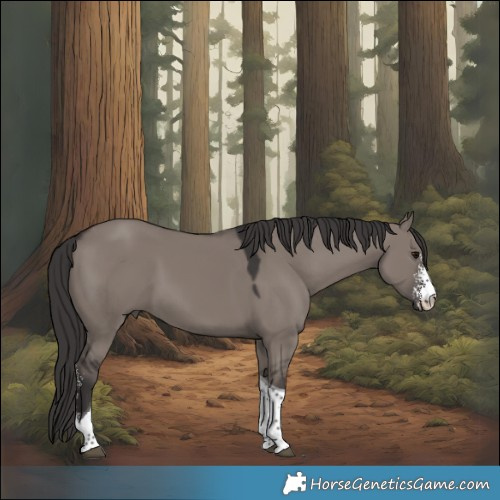 Horse Color:Smoky Grullo Sabino Tobiano