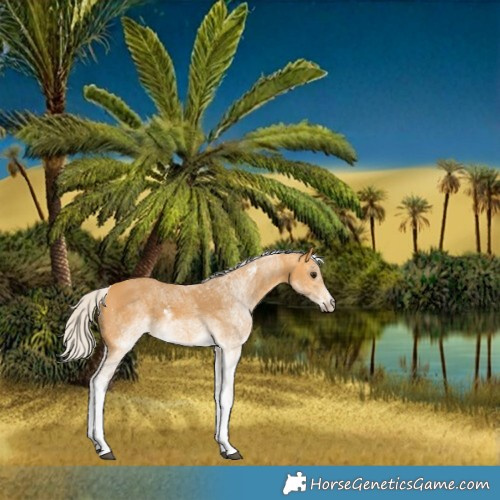 Horse Color:White Spotted Silver Buckskin 