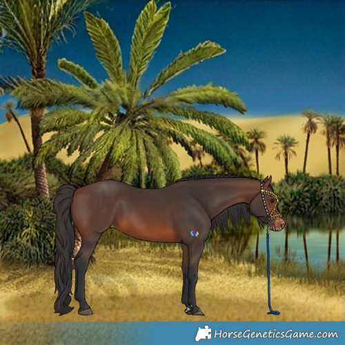 Horse Color:Brown Varnish 