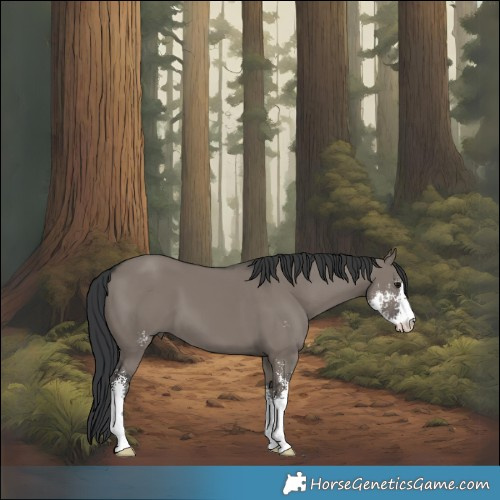 Horse Color:Grullo Sabino 