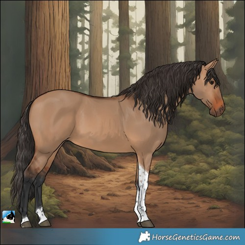 Horse Color:Bay Dun Tobiano