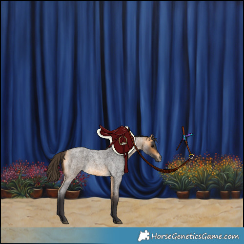 Horse Color:Buckskin Roan 