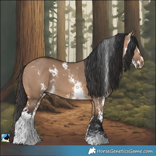 Horse Color:Bay Dun Sabino