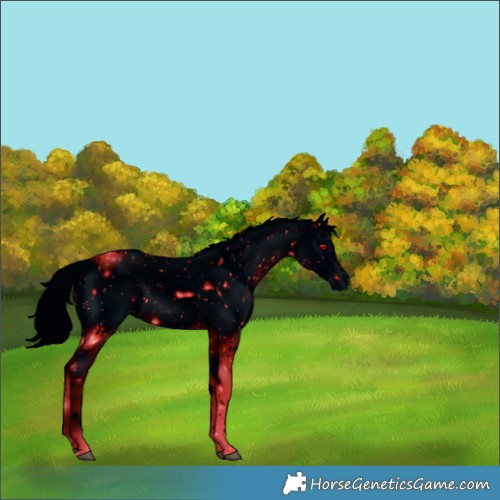 Horse Color:ERROR: UNKNOWN ANOMALY